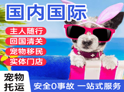 阿尔山伊尔施航空空运国际宠物托运 【国